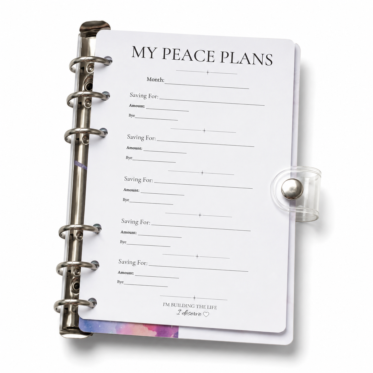 The image showing the Plan pages inside the Broke Budget Girl binder.